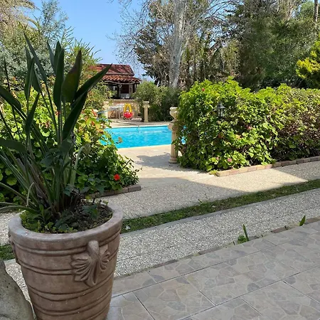Guest house In - Kritos Apartments-one Bedroom