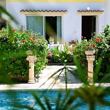 Kritos Apartments-one Bedroom بيت ضيافة ارغاكه